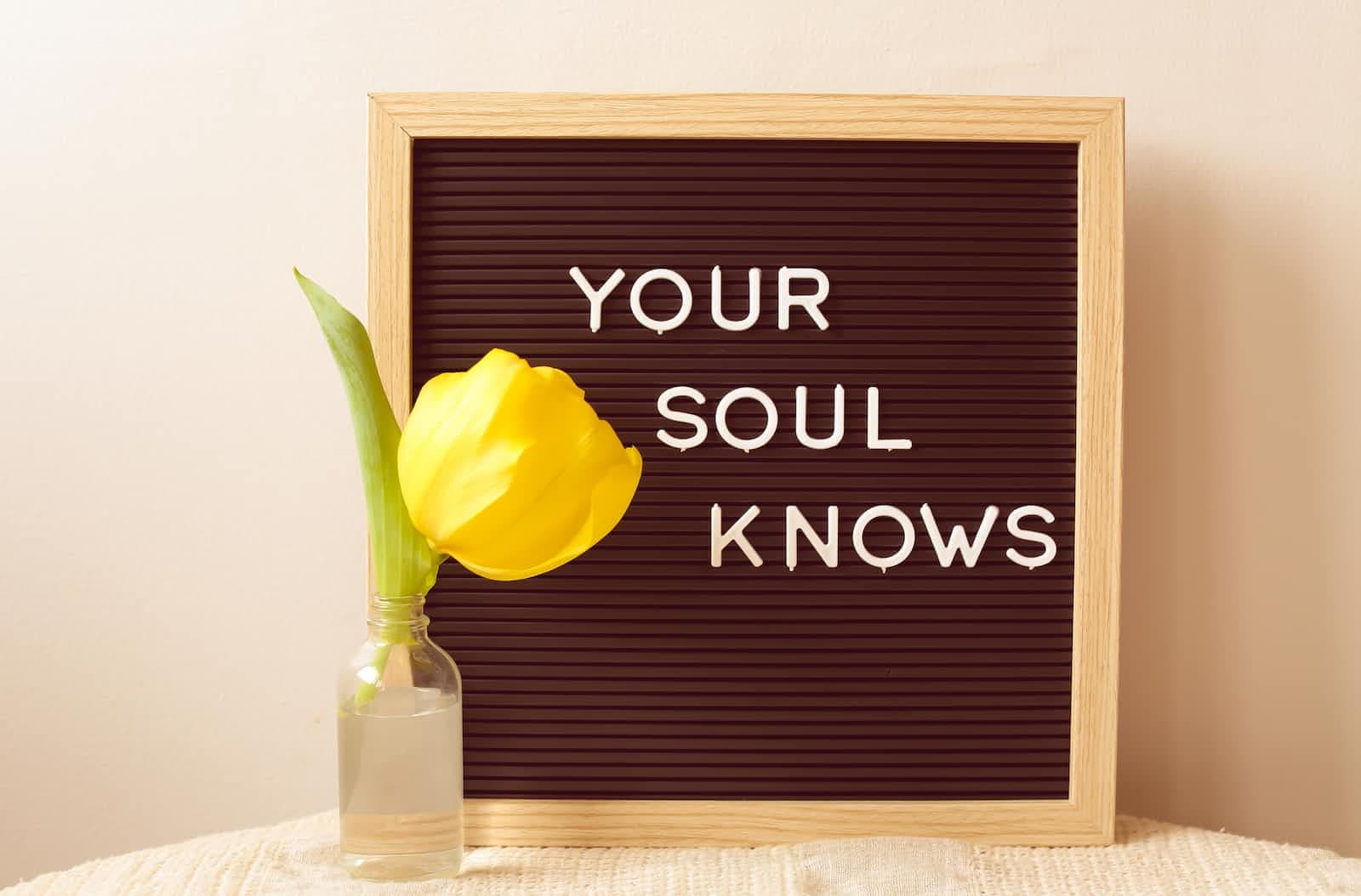 Establish Your Identity and Discover Your Wonderful Life