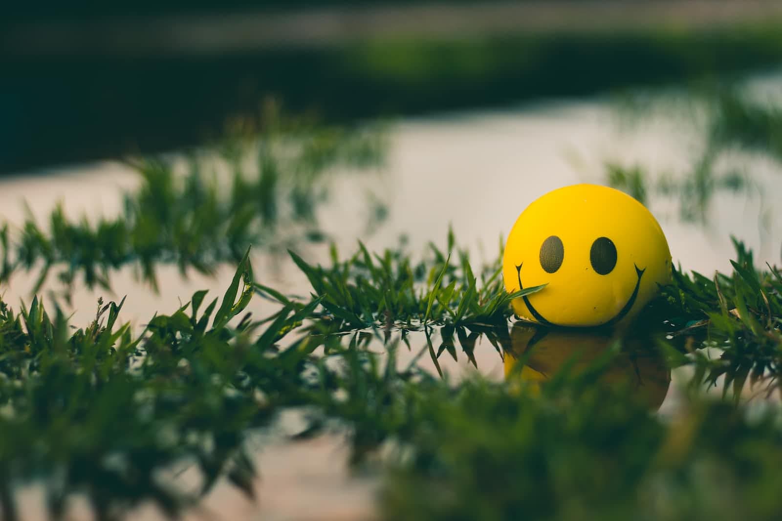 Cultivating a Positive Mindset and The Possibilities of AI Assisting in Neuro-Linguistic Therapy
